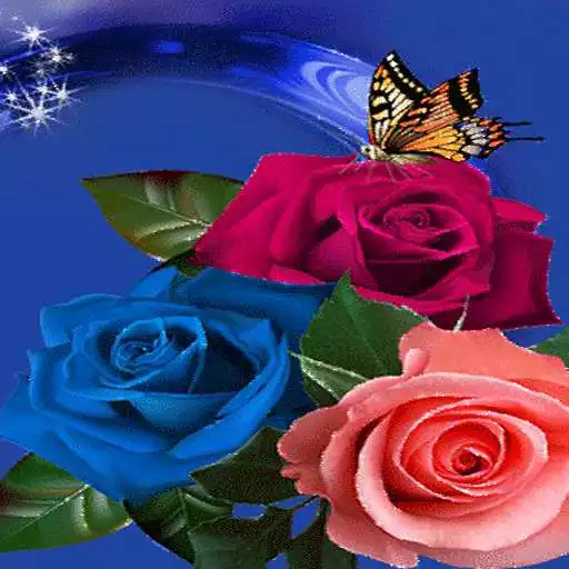 Play Multicolor Roses Butterfly LWP APK Play Multicolor Roses Butterfly LWP APK
