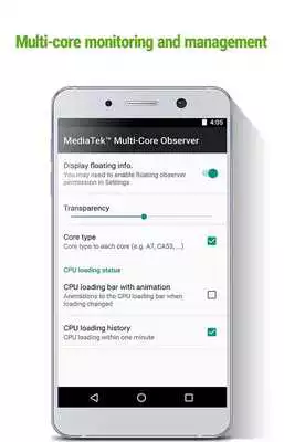 Play Multi-Core Observer