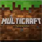 Free play online Multicraft: Pro Edition APK