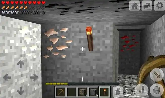 Play Multicraft: Pro Edition