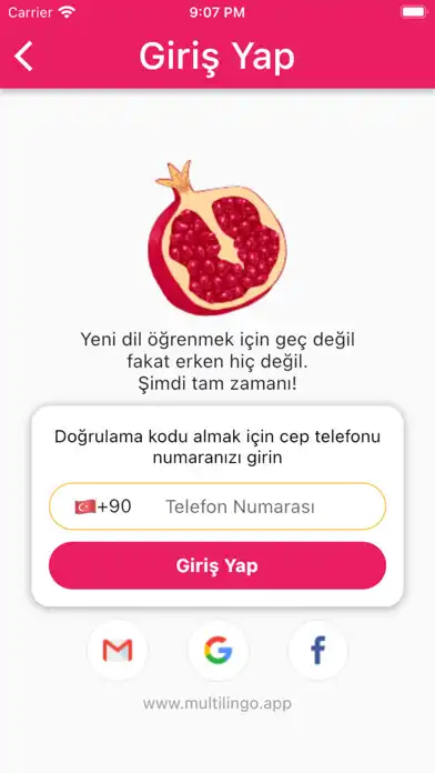 Play Multilingo  and enjoy Multilingo with UptoPlay