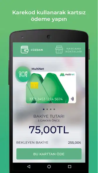 Play MultiPay as an online game MultiPay with UptoPlay