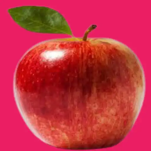 Play Multiplication9x1 APK