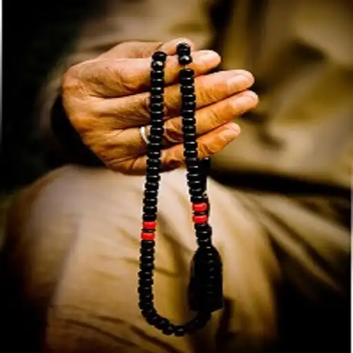 Play Multi Tasbih : Count your Zikr APK