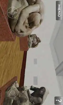 Play MUNAL Play MUNAL