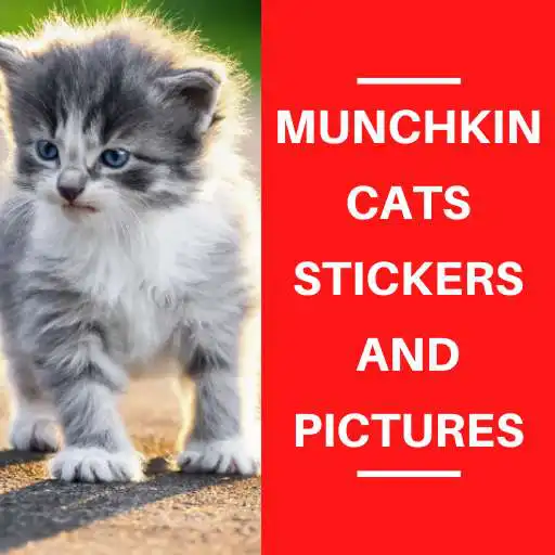Play Munchkin Cats Stickers APK Play Munchkin Cats Stickers APK