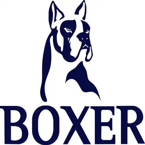 Play Mundo Boxer APK