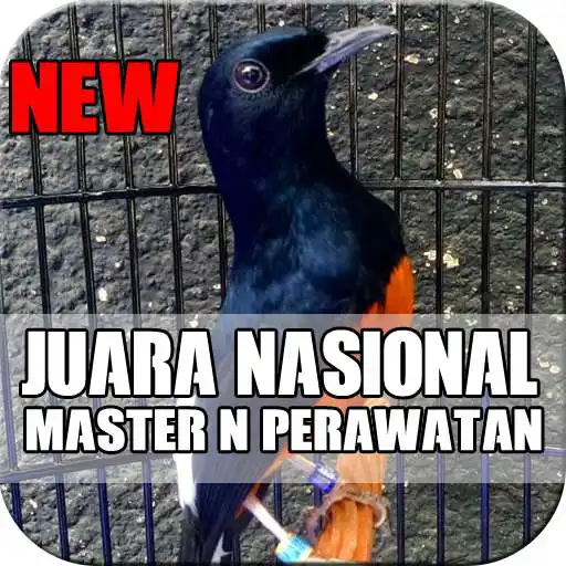 Play Murai Batu Master Top Juara APK