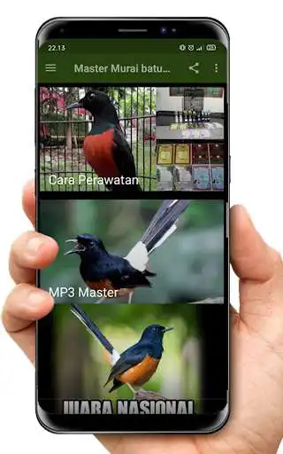Play Murai Batu Master Top Juara  and enjoy Murai Batu Master Top Juara with UptoPlay