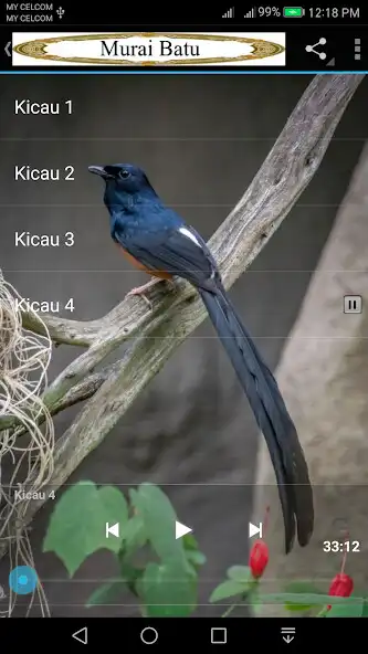 Play Murai Batu and enjoy Murai Batu with UptoPlay Play Murai Batu and enjoy Murai Batu with UptoPlay