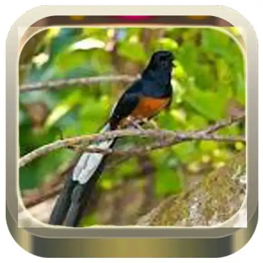 Play Murai Master APK Play Murai Master APK