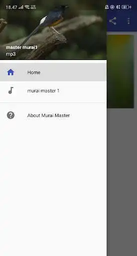 Play Murai Master as an online game Murai Master with UptoPlay