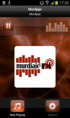 Play Murdjajo
