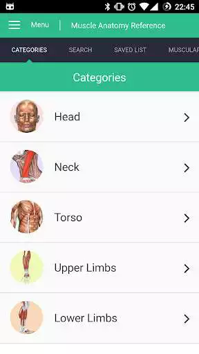 Play Muscle Anatomy Reference Guide and enjoy Muscle Anatomy Reference Guide with UptoPlay Play Muscle Anatomy Reference Guide and enjoy Muscle Anatomy Reference Guide with UptoPlay