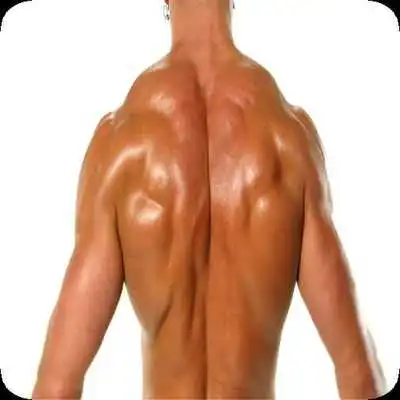 Play Muscle Building