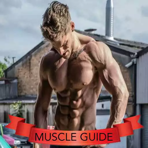 Play Muscle Guide APK Play Muscle Guide APK