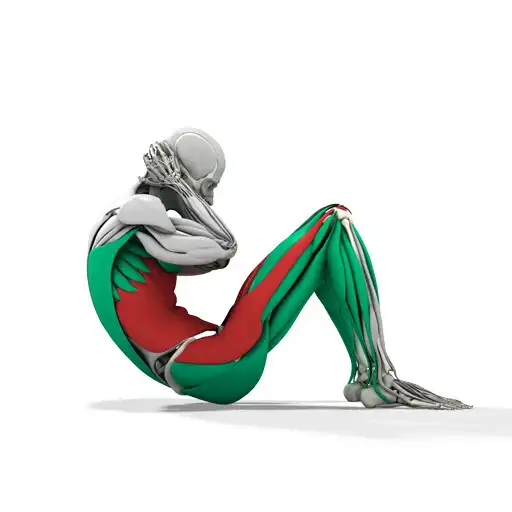 Play MuscleMatics 30 Day SixPackAbs APK Play MuscleMatics 30 Day SixPackAbs APK