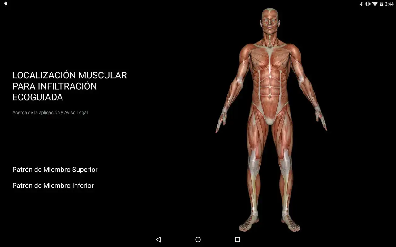 Play Muscle Patterns