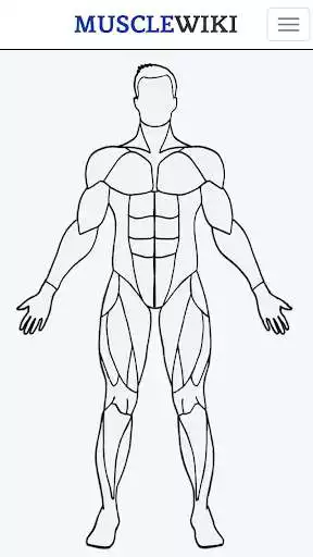 Play MuscleWiki Fitness
