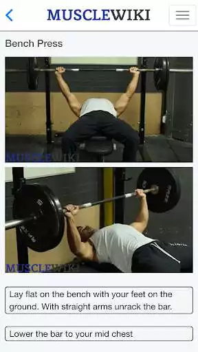 Play MuscleWiki Fitness