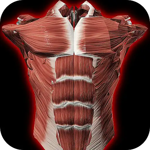 Play Muscular System 3D (anatomy) APK Play Muscular System 3D (anatomy) APK