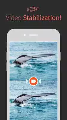 Play Musemage Play Musemage