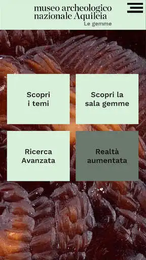 Play Museo Nazionale Aquileia Gemme as an online game Museo Nazionale Aquileia Gemme with UptoPlay