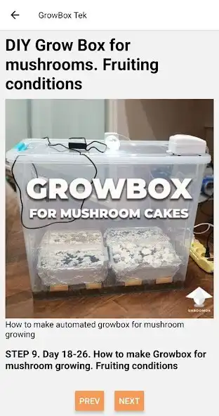 Play Mushroom Growing  and enjoy Mushroom Growing with UptoPlay