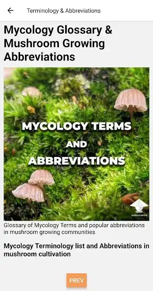 Play Mushroom Growing as an online game Mushroom Growing with UptoPlay