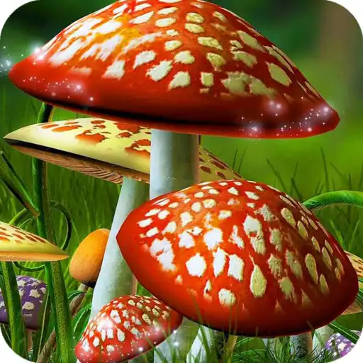 Play Mushroom HD Wallpaper APK