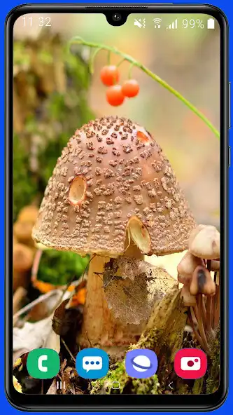 Play Mushroom HD Wallpaper  and enjoy Mushroom HD Wallpaper with UptoPlay