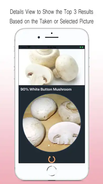 Play Mushroom Identifier as an online game Mushroom Identifier with UptoPlay