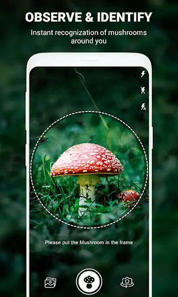 Play Mushroom ID: Fungi Identifier as an online game Mushroom ID: Fungi Identifier with UptoPlay
