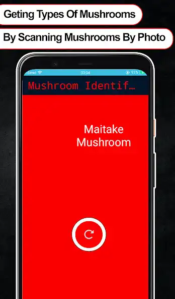 Play Mushroom ID Identification as an online game Mushroom ID Identification with UptoPlay