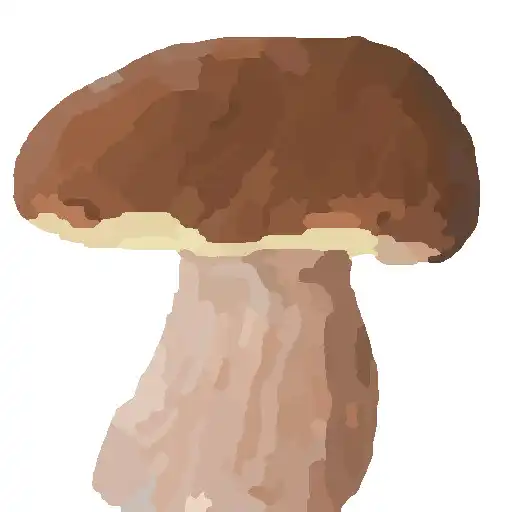 Play Mushroomizer APK Play Mushroomizer APK