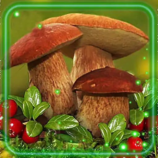 Play Mushrooms and Berrries APK Play Mushrooms and Berrries APK