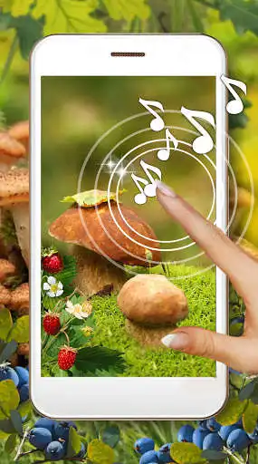 Play Mushrooms and Berrries  and enjoy Mushrooms and Berrries with UptoPlay