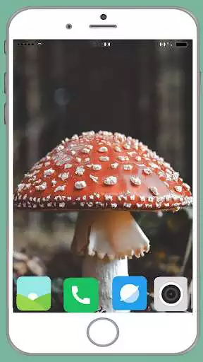 Play Mushrooms Full HD Wallpaper as an online game Mushrooms Full HD Wallpaper with UptoPlay