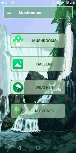 Play Mushrooms Guide  and enjoy Mushrooms Guide with UptoPlay