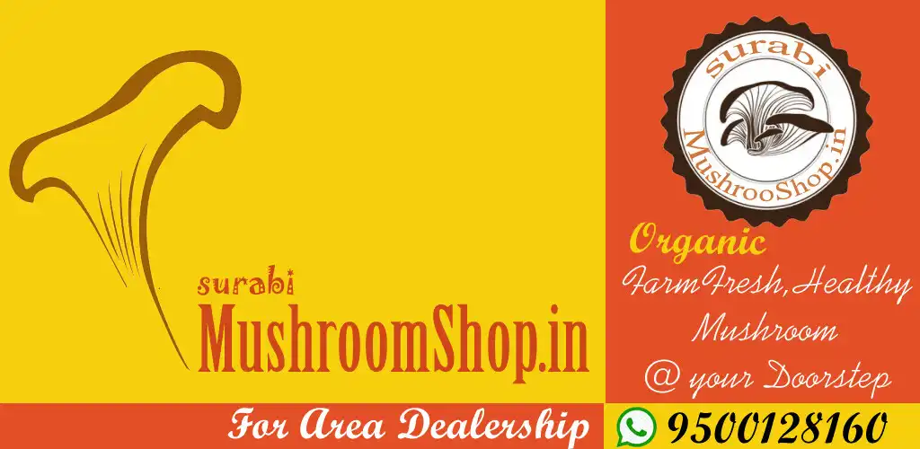 Play MushroomShop.in as an online game MushroomShop.in with UptoPlay