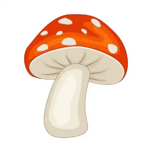 Play Mushroom stickers for WhatsApp APK Play Mushroom stickers for WhatsApp APK
