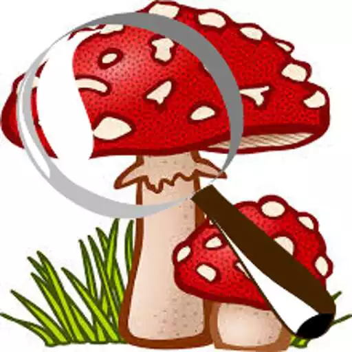 Play Mushroom Tracker APK