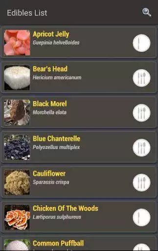 Play Mushroom Tracker  and enjoy Mushroom Tracker with UptoPlay