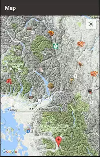 Play Mushroom Tracker as an online game Mushroom Tracker with UptoPlay