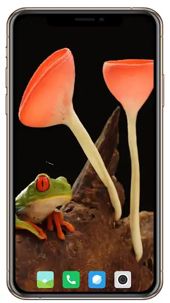 Play Mushroom Wallpaper as an online game Mushroom Wallpaper with UptoPlay