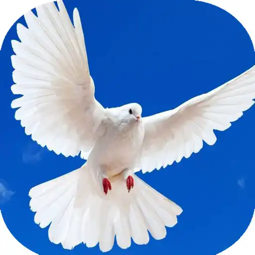 Play Musica Cristiana Alabanzas APK Play Musica Cristiana Alabanzas APK