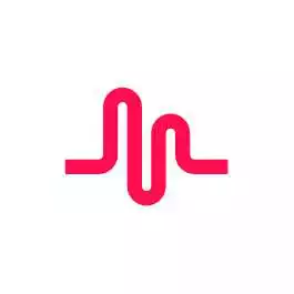 Free play online musical.ly lite  APK