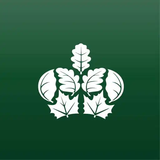 Play Music for Trees APK