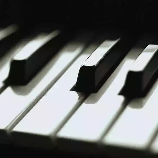 Play Music Lessons APK Play Music Lessons APK