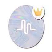 Free play online Music.ly Video Downloader APK